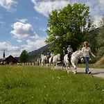 Schullerhof 3*
