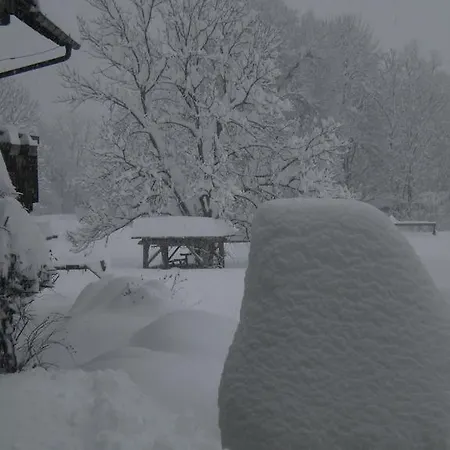 Guest house Schullerhof 3*