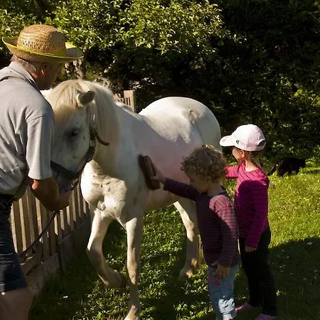 招待所 Schullerhof
