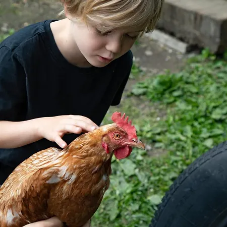 Schullerhof 3* Hermagor-Pressegger See