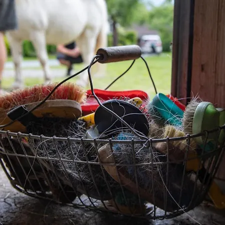 招待所 Schullerhof 3*