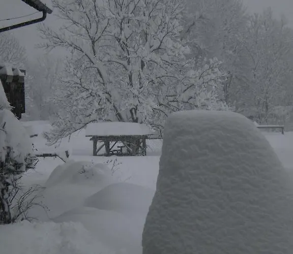 Guest house Schullerhof 3*