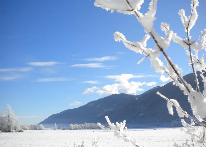 게스트하우스 Schullerhof 3*