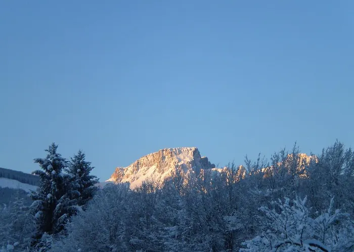 Schullerhof הרמגור