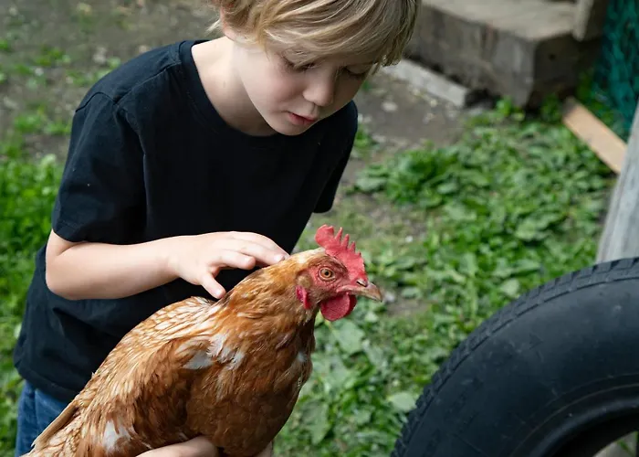 Schullerhof 3* 헤르마고