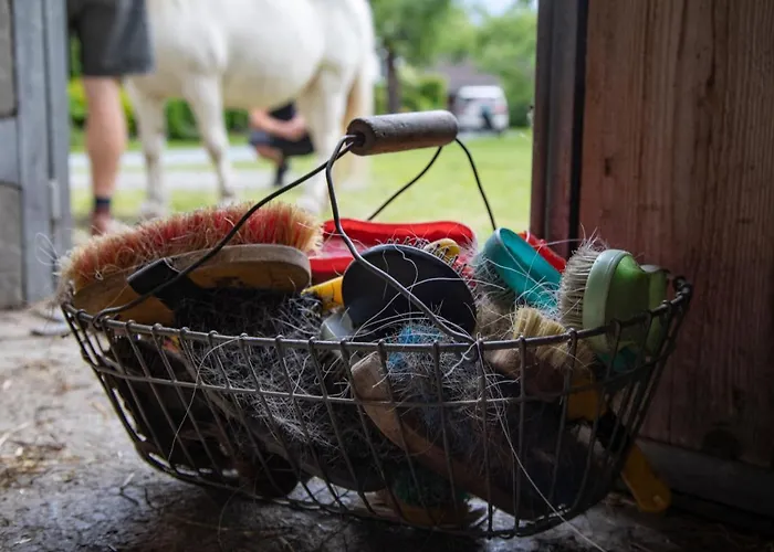 게스트하우스 Schullerhof 3*