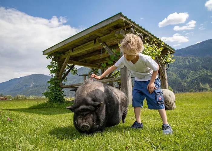 Schullerhof הרמגור